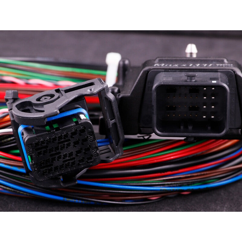 Faisceau Moteur MaxxECU "Plug & Play" pour TU5JP4 / TU5J4